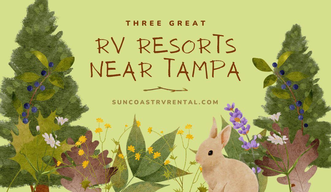 3 of our Favorite RV Campgrounds near Tampa
