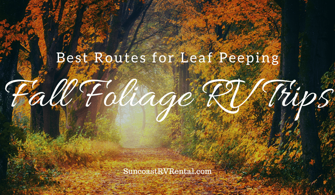 Fall Foliage RV Trips: Best Routes for Leaf Peeping